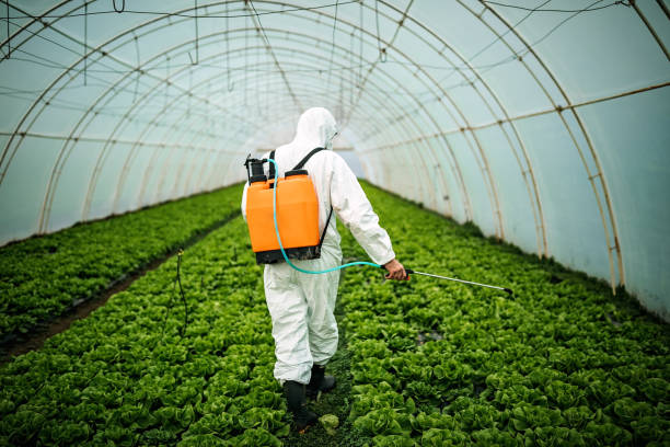 Best Pest Prevention Services  in Oakland, PA